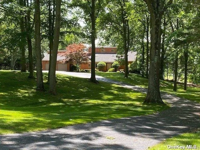 a view of a park with a tree