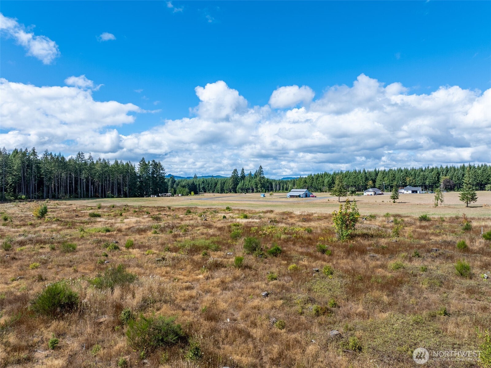 0 McGlaughlin Road, Unit 5 Winlock, WA 98596 - Photo 18 of 20 Gallery Image 18