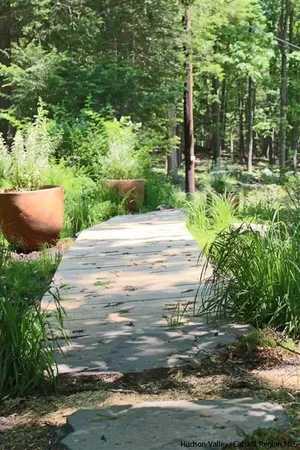 a view of a backyard of the house