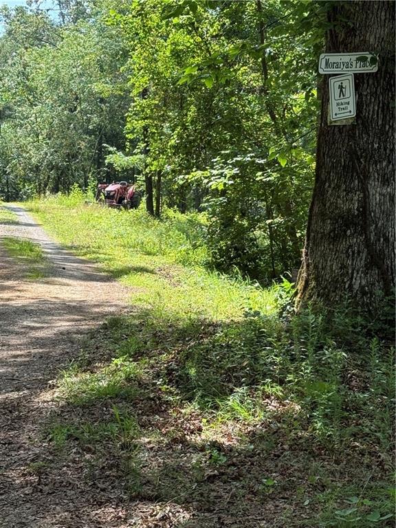 20-ac Ellijay Road Talking Rock, GA 30175 - Photo 4 of 9