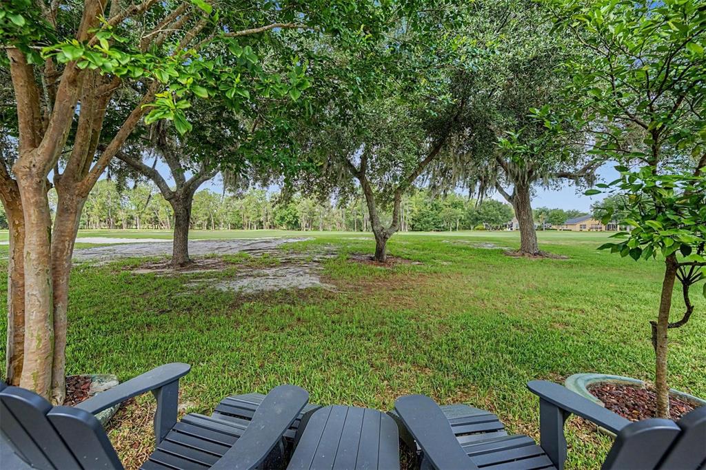 1331 Trimaran Place Trinity, FL 34655 - Photo 26 of 54