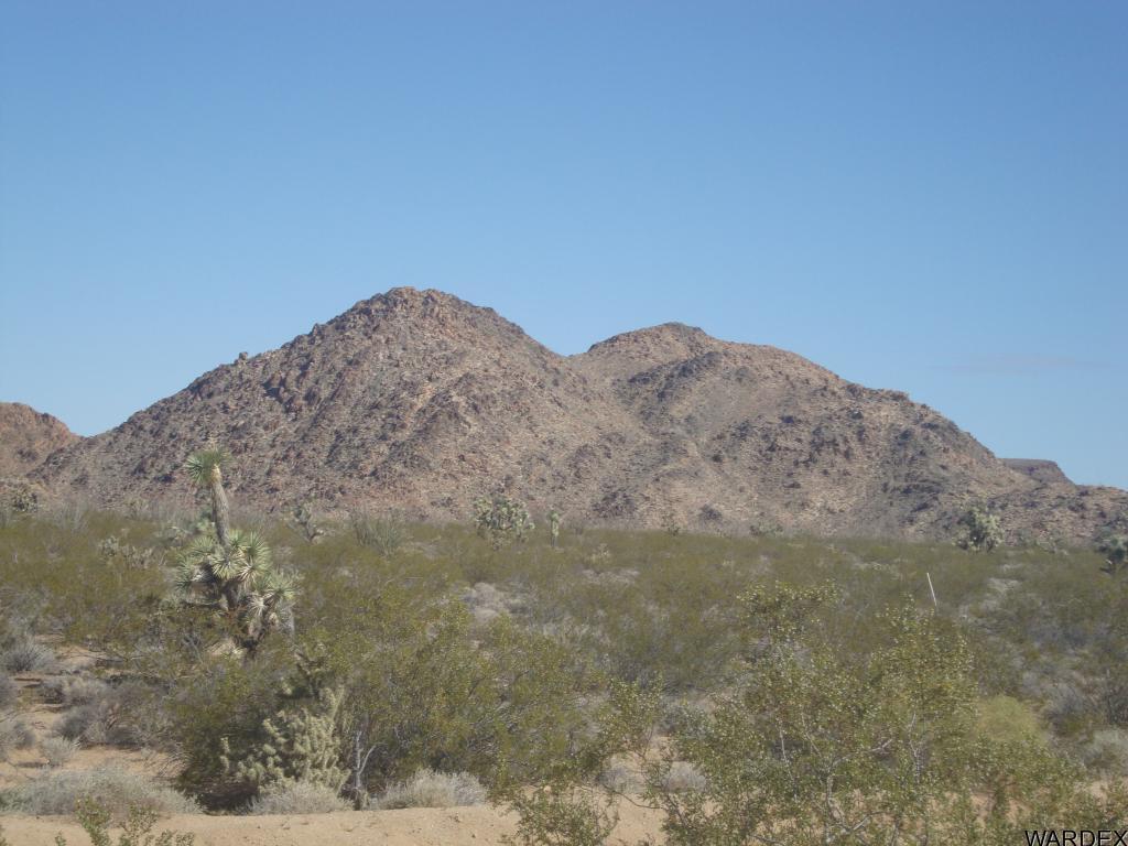 762 A Roy Rogers Road Yucca, AZ 86438 - Photo 3 of 20 a view of a mountain in the distance in a field