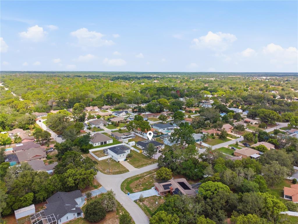 8378 Maltby Road Spring Hill, FL 34606 - Photo 45 of 47