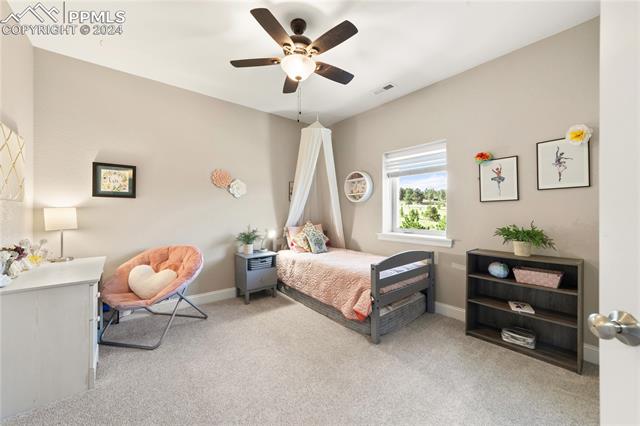 11315 Holmes Road South Colorado Springs, CO 80908 - Photo 35 of 49 Gallery Image 35