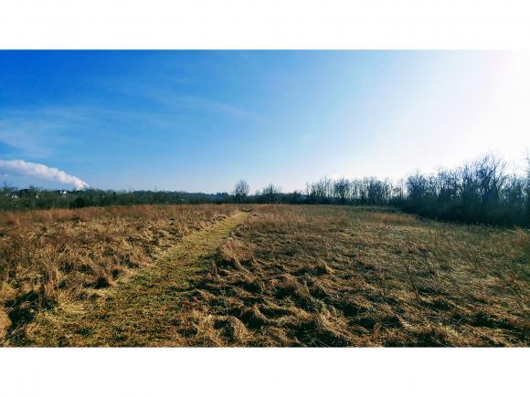 0 Georgetown Road Lawrenceburg, IN 47025 - Photo 12 of 19