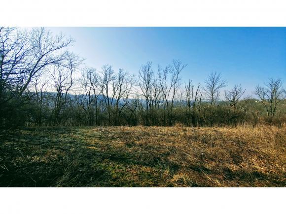 0 Georgetown Road Lawrenceburg, IN 47025 - Photo 9 of 19