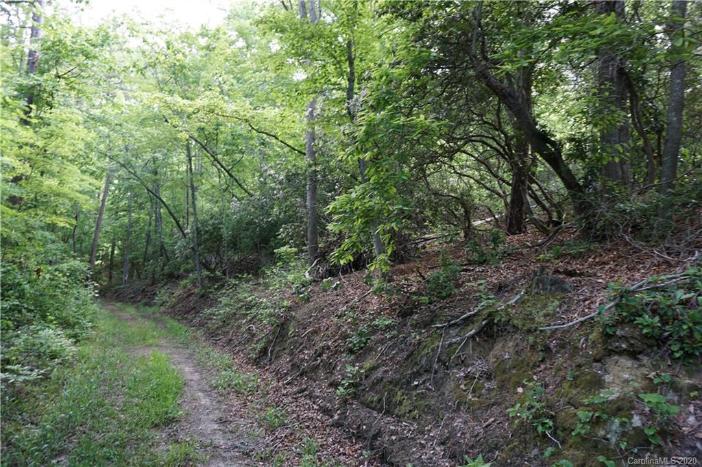 134-ac Possum Trot Road Blacksburg, SC 29702 - Photo 2 of 26 Gallery Image 2