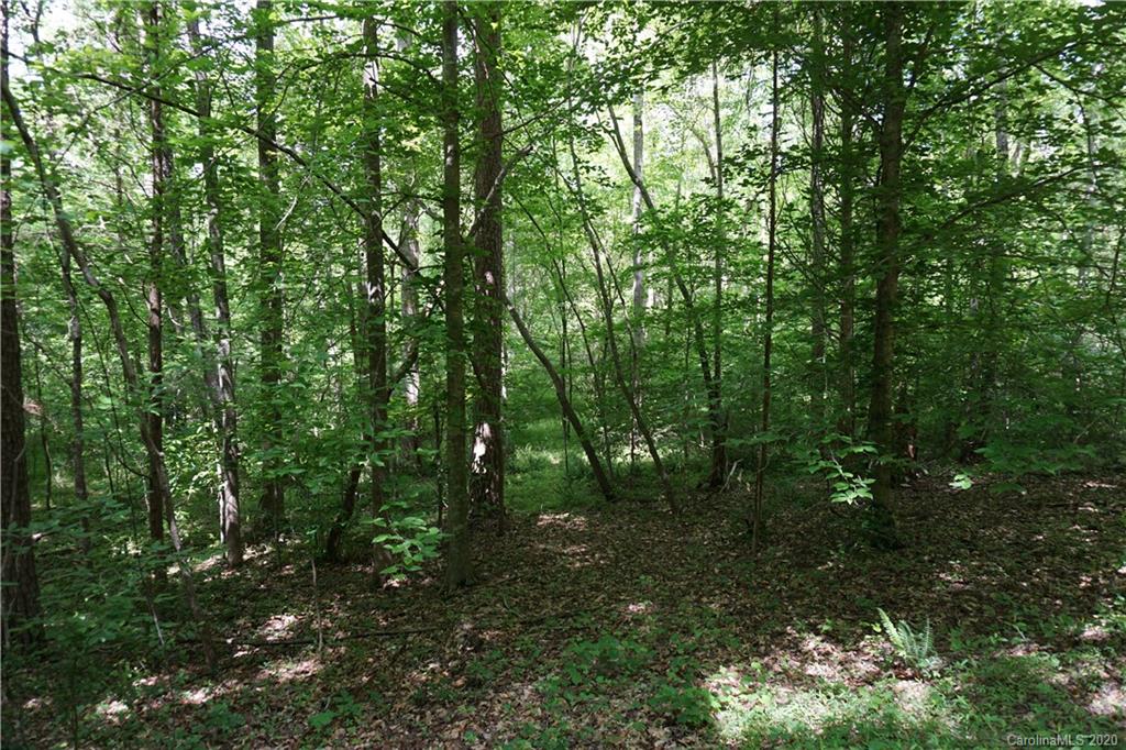 134-ac Possum Trot Road Blacksburg, SC 29702 - Photo 12 of 26 Gallery Image 12