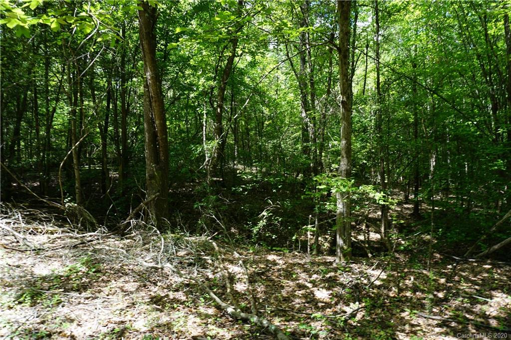 134-ac Possum Trot Road Blacksburg, SC 29702 - Photo 13 of 26 Gallery Image 13