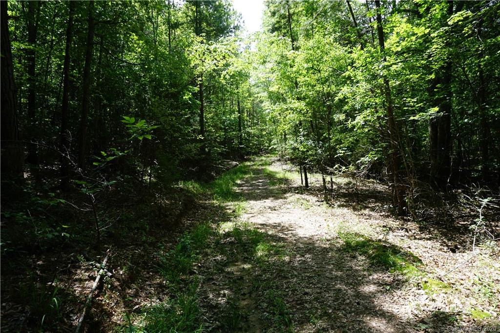 134-ac Possum Trot Road Blacksburg, SC 29702 - Photo 14 of 26 Gallery Image 14