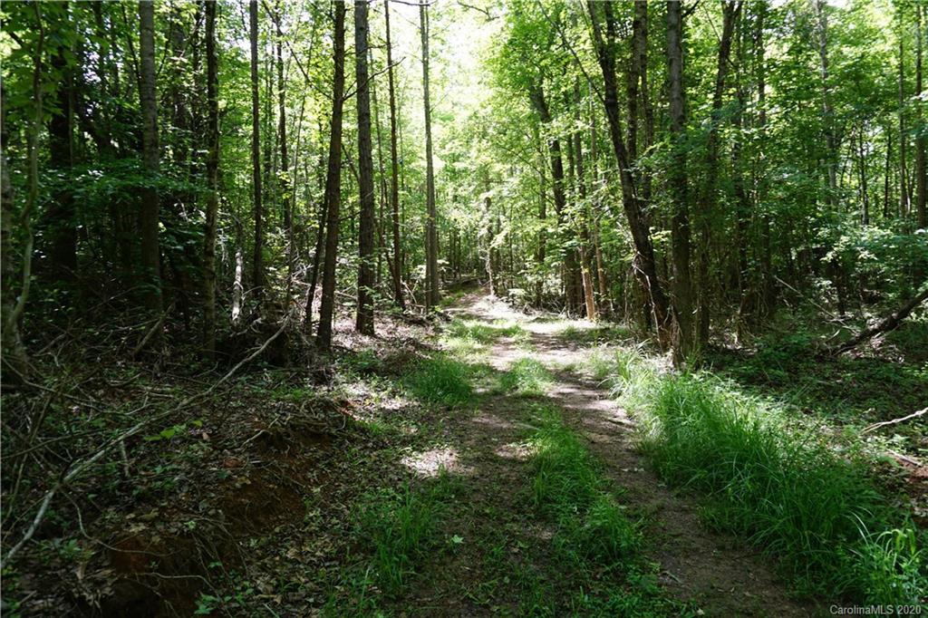 134-ac Possum Trot Road Blacksburg, SC 29702 - Photo 15 of 26 Gallery Image 15