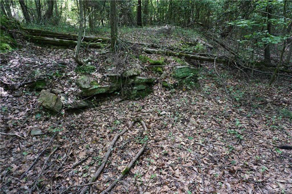 134-ac Possum Trot Road Blacksburg, SC 29702 - Photo 17 of 26 Gallery Image 17