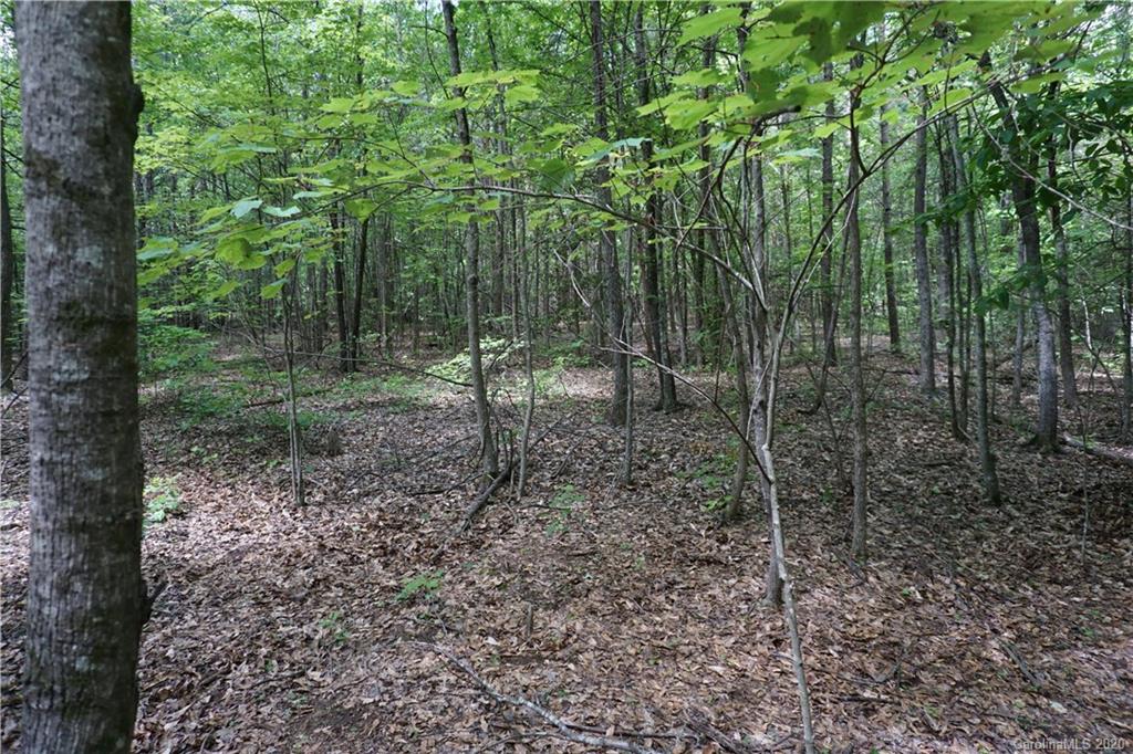 134-ac Possum Trot Road Blacksburg, SC 29702 - Photo 18 of 26 Gallery Image 18