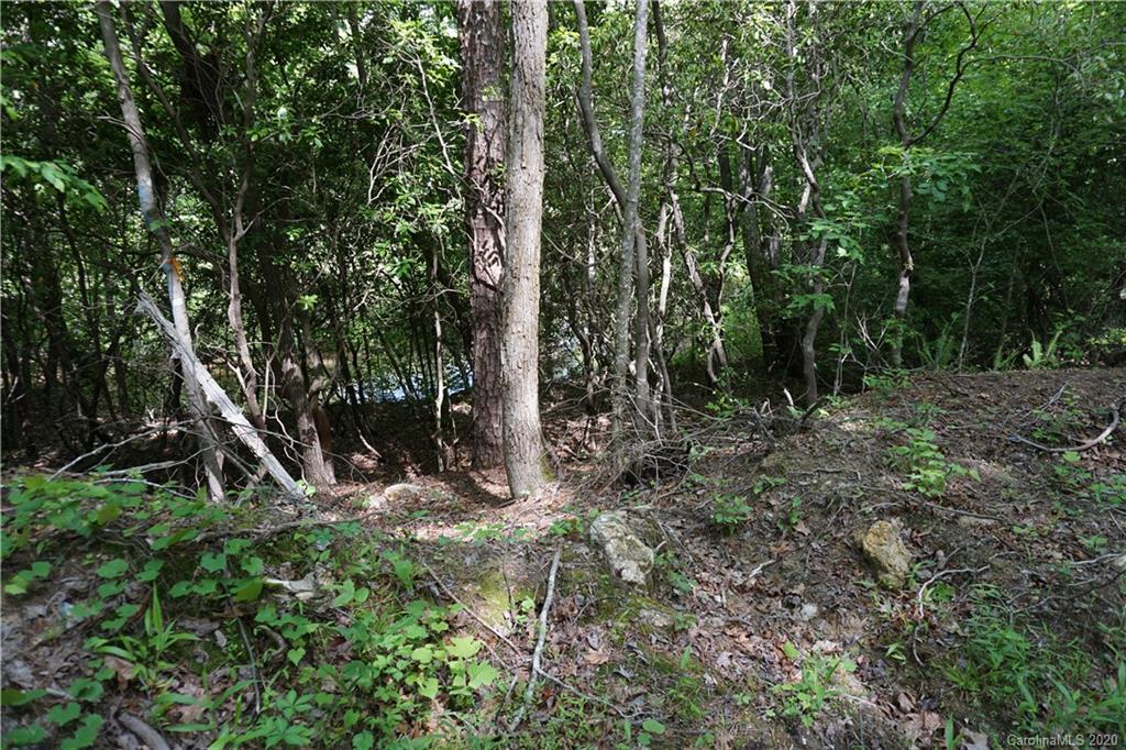 134-ac Possum Trot Road Blacksburg, SC 29702 - Photo 3 of 26 Gallery Image 3