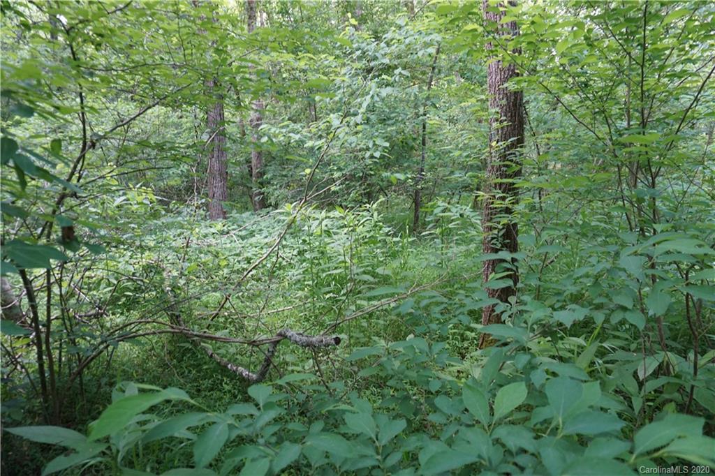 134-ac Possum Trot Road Blacksburg, SC 29702 - Photo 21 of 26 Gallery Image 21