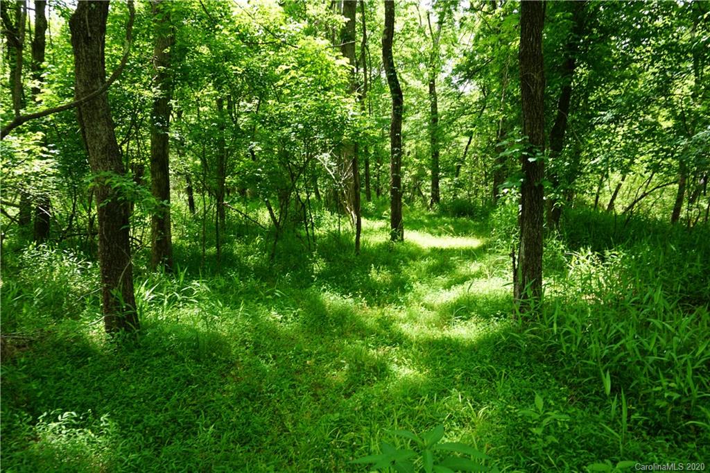 134-ac Possum Trot Road Blacksburg, SC 29702 - Photo 22 of 26 Gallery Image 22