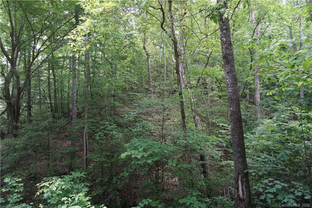 134-ac Possum Trot Road Blacksburg, SC 29702 - Photo 23 of 26 Gallery Image 23