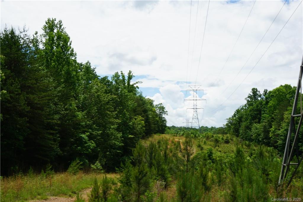 134-ac Possum Trot Road Blacksburg, SC 29702 - Photo 25 of 26 Gallery Image 25