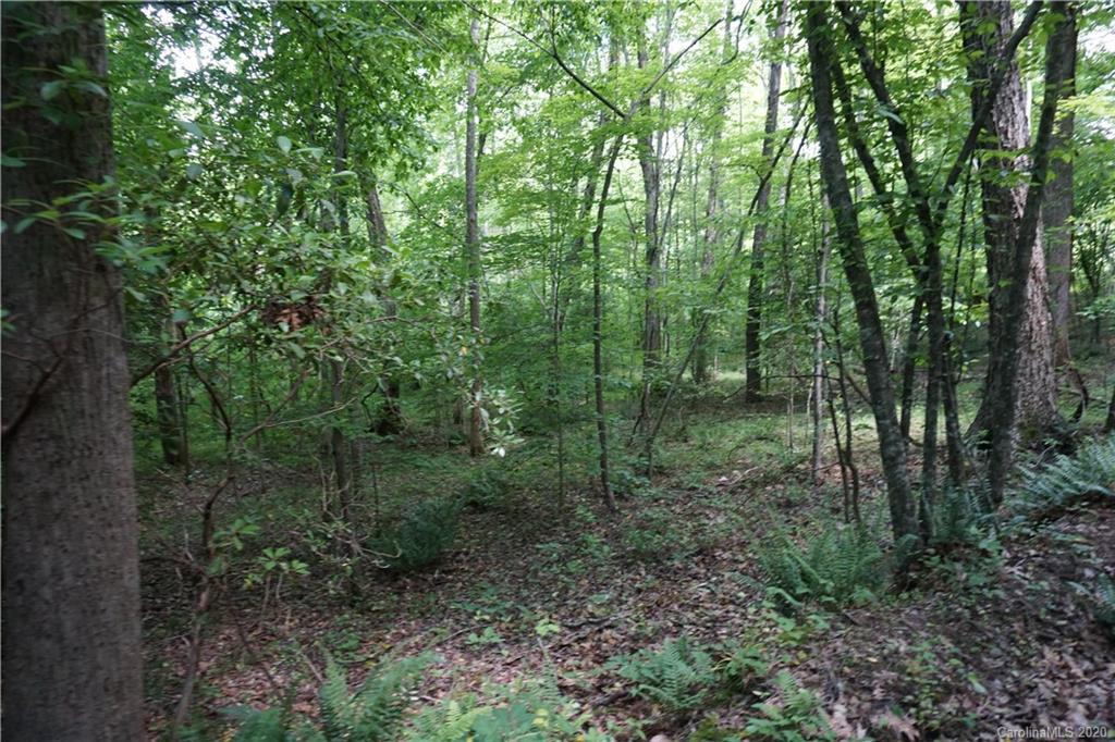134-ac Possum Trot Road Blacksburg, SC 29702 - Photo 4 of 26 Gallery Image 4