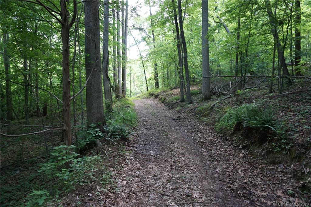 134-ac Possum Trot Road Blacksburg, SC 29702 - Photo 5 of 26 Gallery Image 5