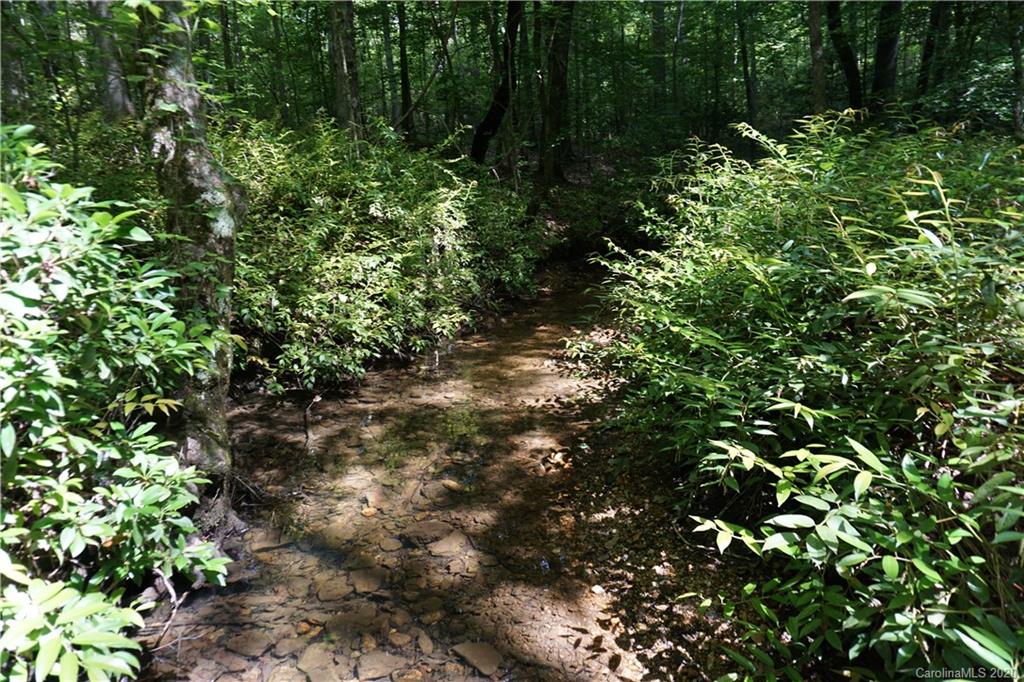 134-ac Possum Trot Road Blacksburg, SC 29702 - Photo 6 of 26 Gallery Image 6