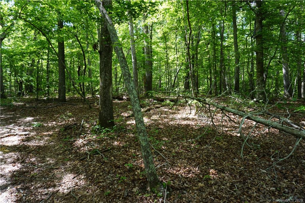 134-ac Possum Trot Road Blacksburg, SC 29702 - Photo 8 of 26 Gallery Image 8