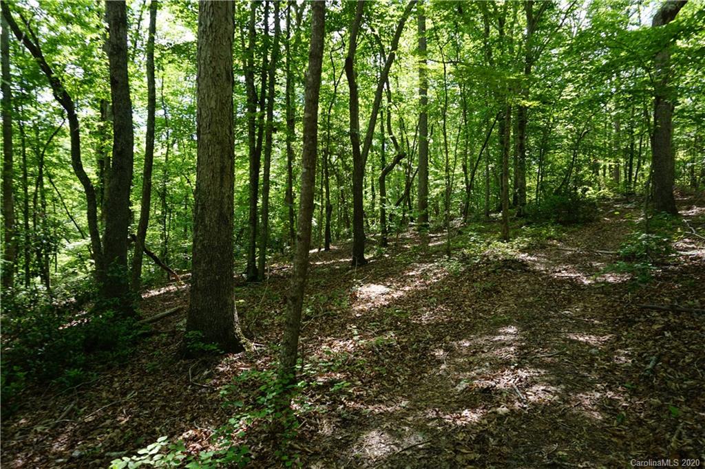 134-ac Possum Trot Road Blacksburg, SC 29702 - Photo 9 of 26 Gallery Image 9