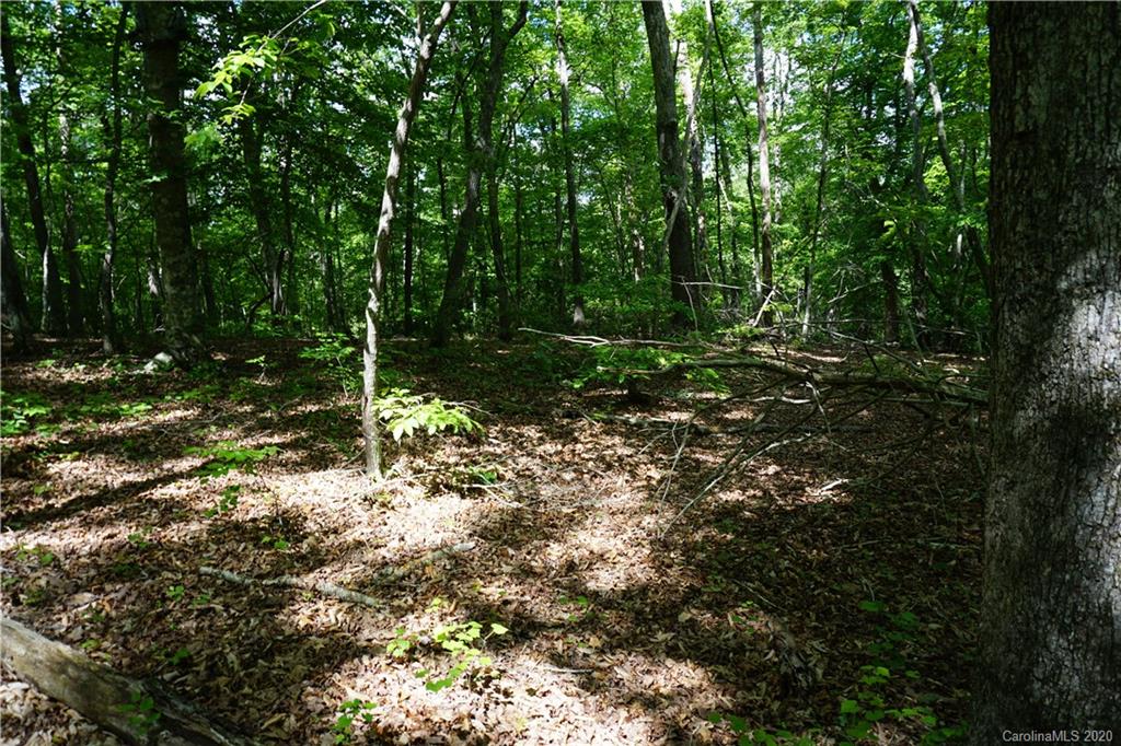 134-ac Possum Trot Road Blacksburg, SC 29702 - Photo 10 of 26 Gallery Image 10