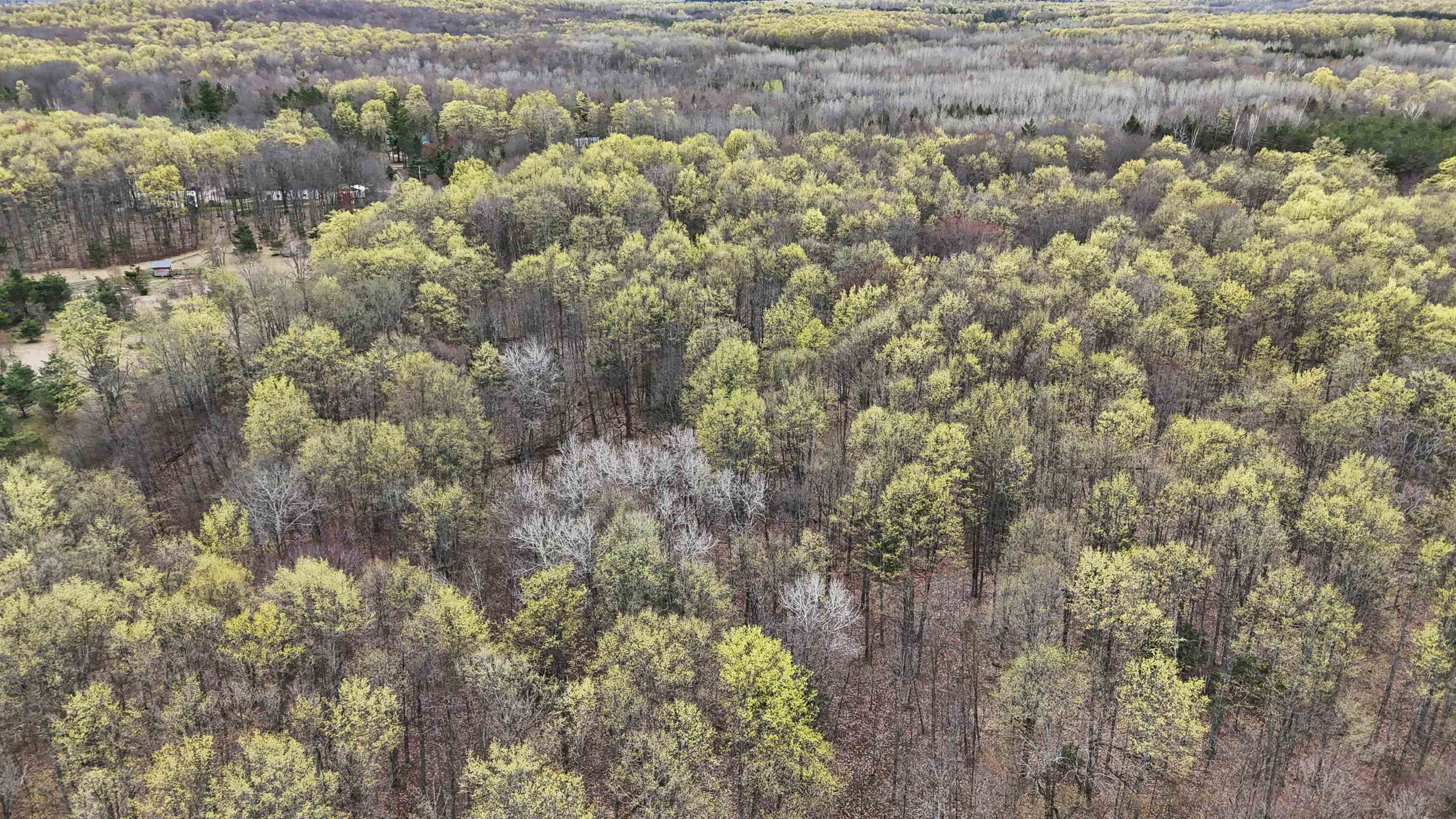 2561 East Johnson Road Lake City, MI 49651 - Photo 55 of 63