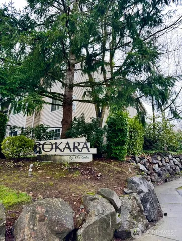 a view of a yard with plants and large trees