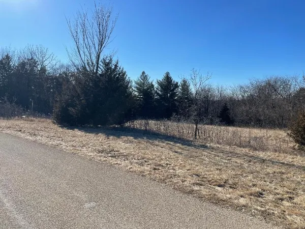 $20,000 | 33 Lake Ridge Road, Galena, IL 61036