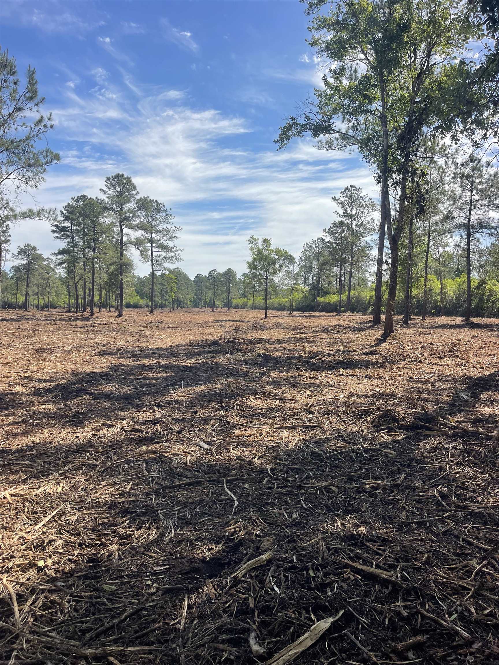 Tbd Tbd Mount Loris, SC 29569 - Photo 22 of 26