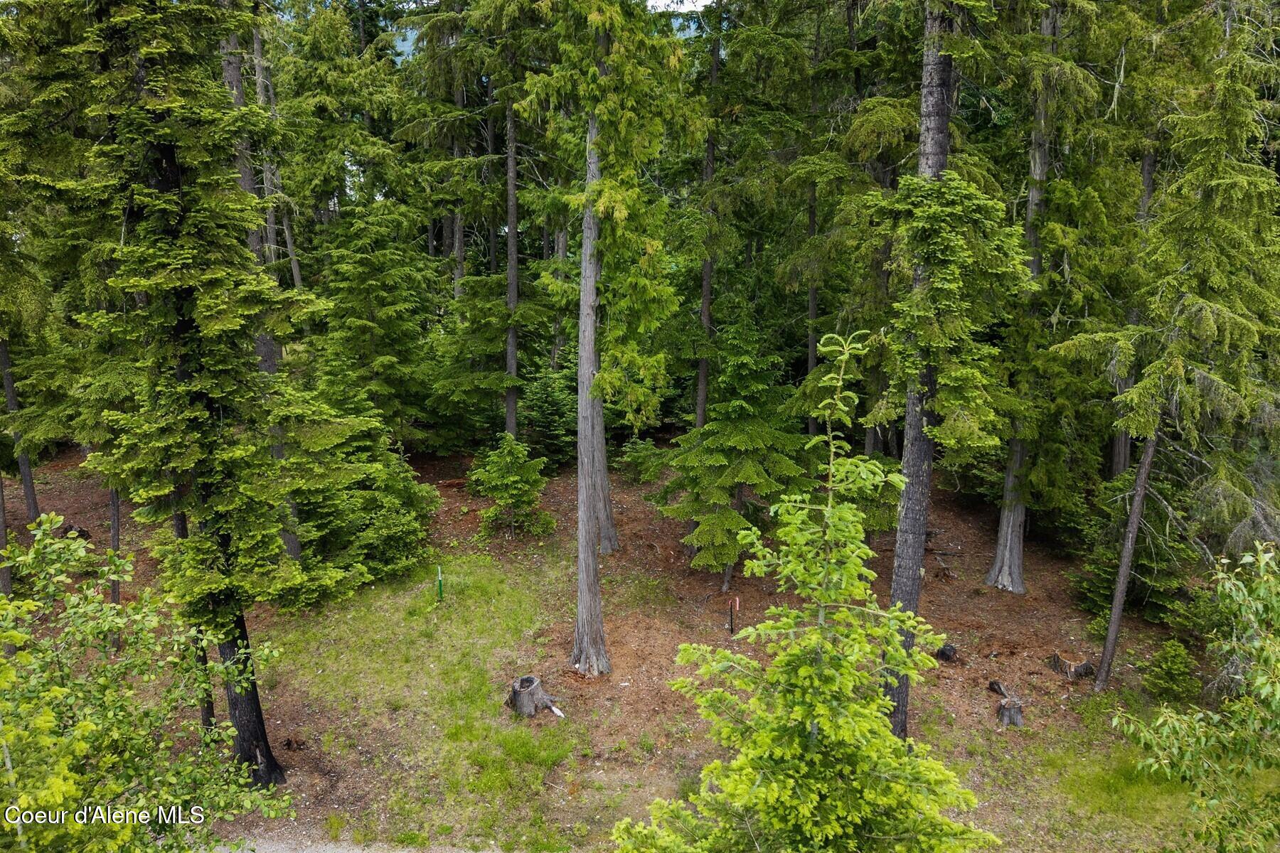 Nna Bruin Road Nordman, ID 83848 - Photo 7 of 44 Mature Growth