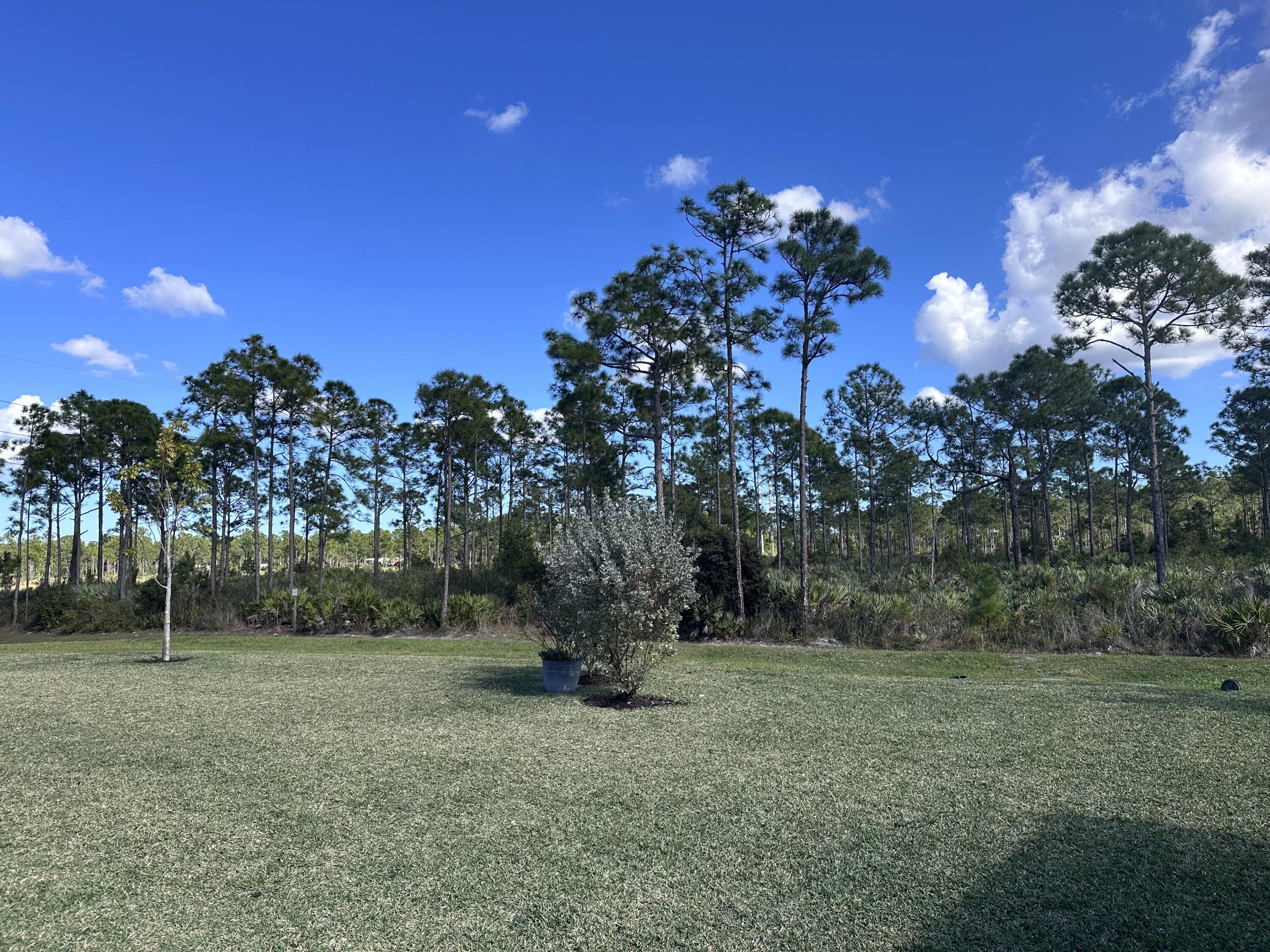 9705 Southwest Meridian Way Stuart, FL 34997 - Photo 3 of 17 Backyard View