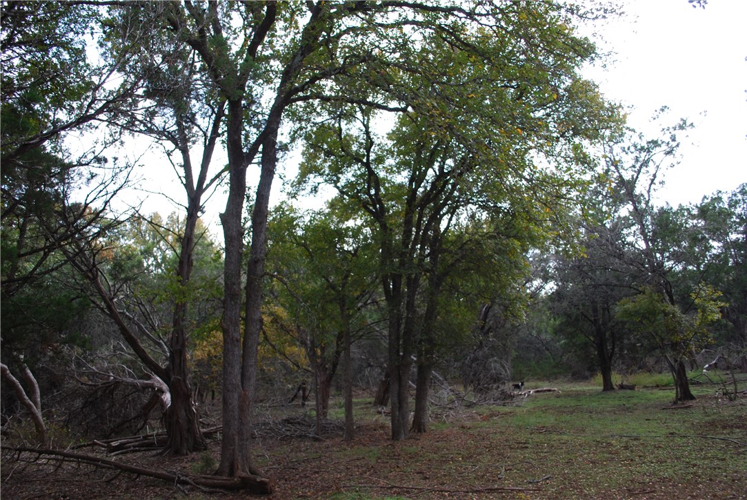 1351 Valley View Road Wimberley, TX 78676 - Photo 1 of 1 Gallery Image 1