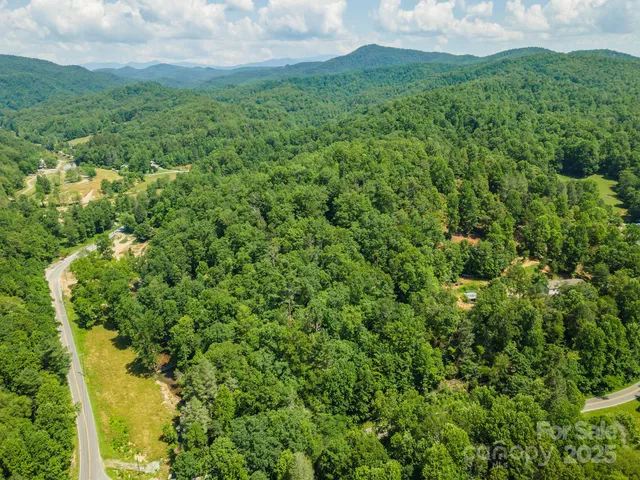 a view of a lush green forest with lots of trees