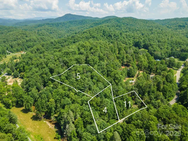 a view of a lush green forest with lots of trees