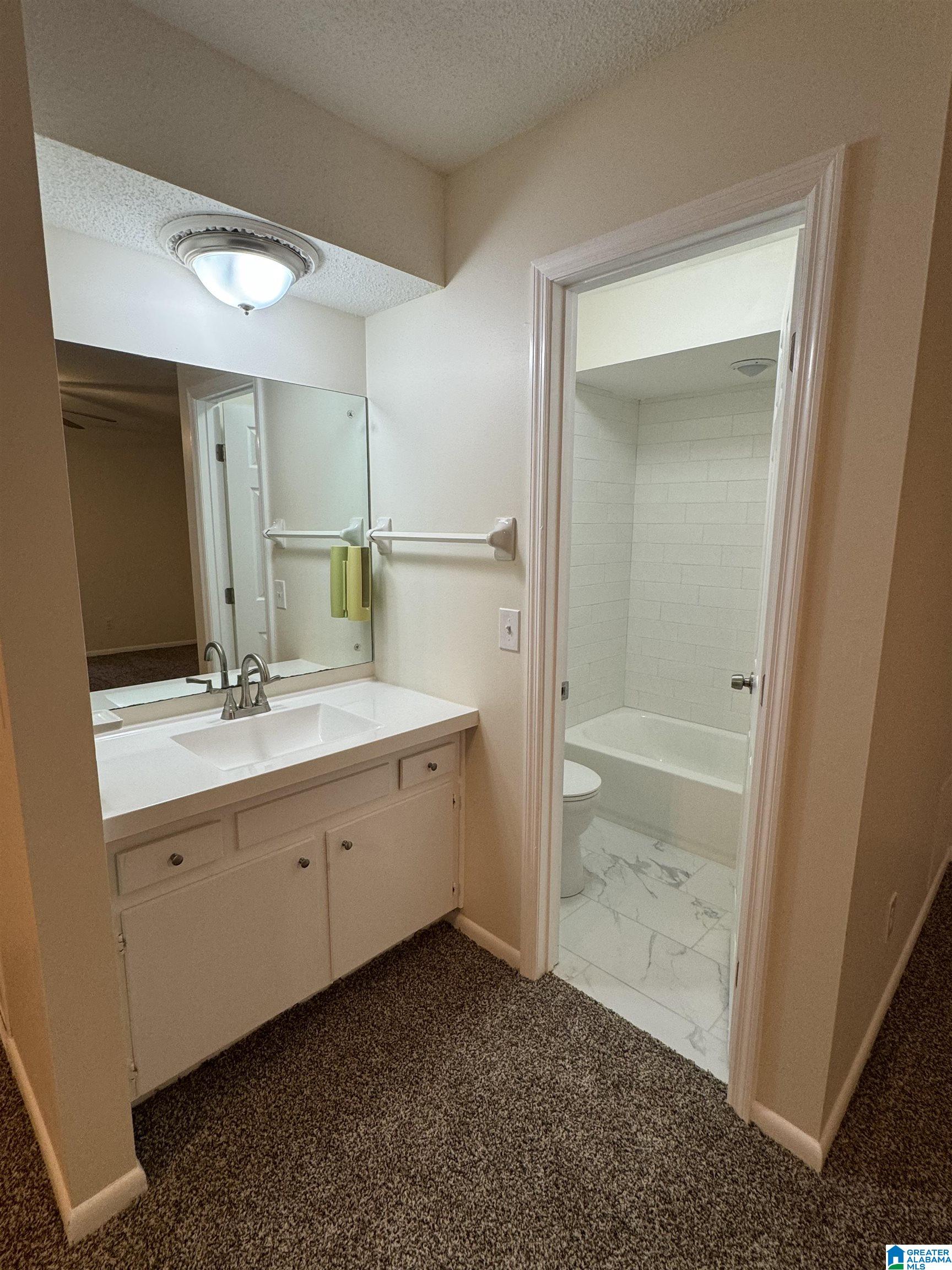35 Monte Tierra Trail Montevallo, AL 35115 - Photo 17 of 22