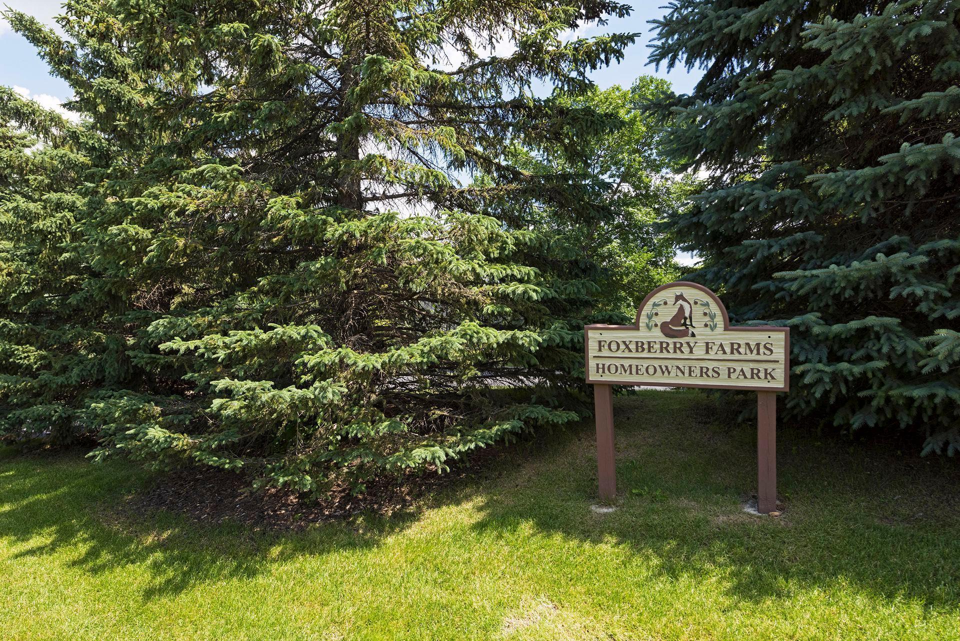 830 Fox Path Court Medina, MN 55340 - Photo 42 of 47
