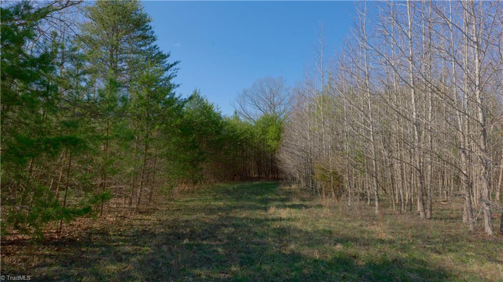 0 Sagebrush Road Ruffin, NC 27326 - Photo 32 of 50 Gallery Image 32