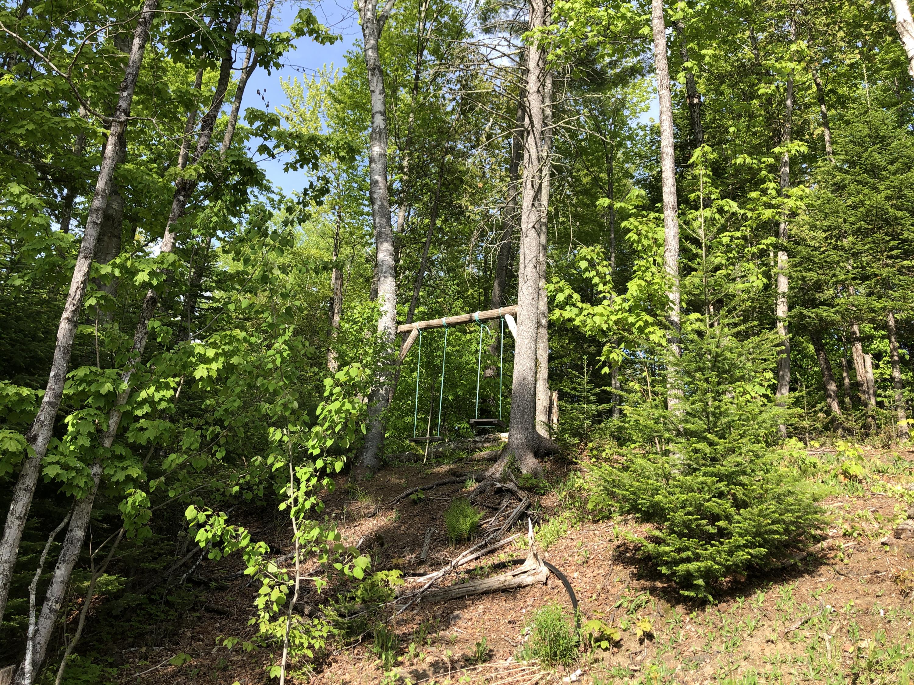 33 North Dexter Road Sangerville, ME 04479 - Photo 33 of 38 IMG_7617