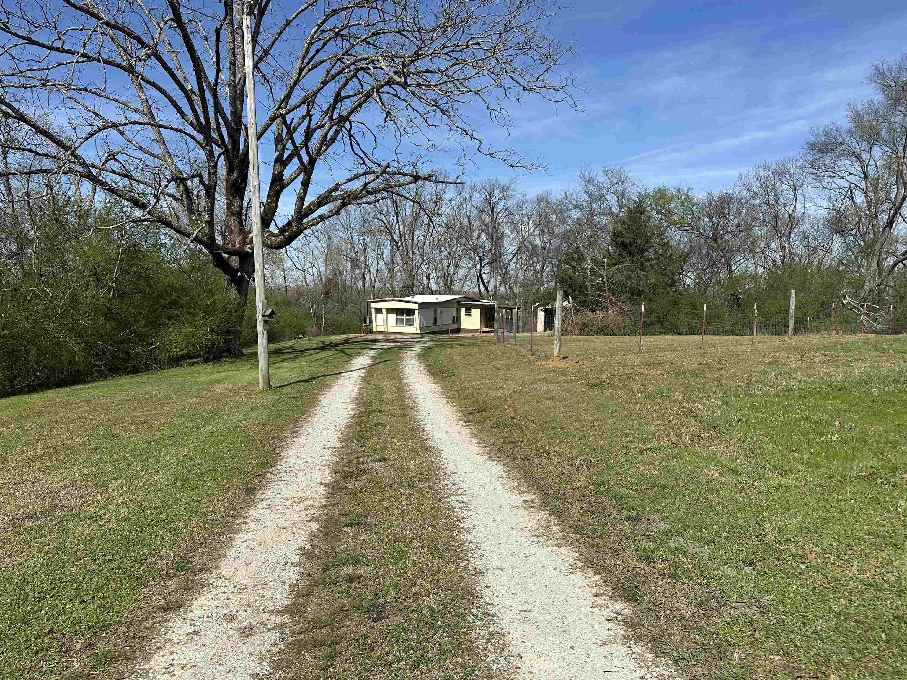 65 Cooksey Lane Michie, TN 38357 - Photo 18 of 40 a view of yard with tree in the background