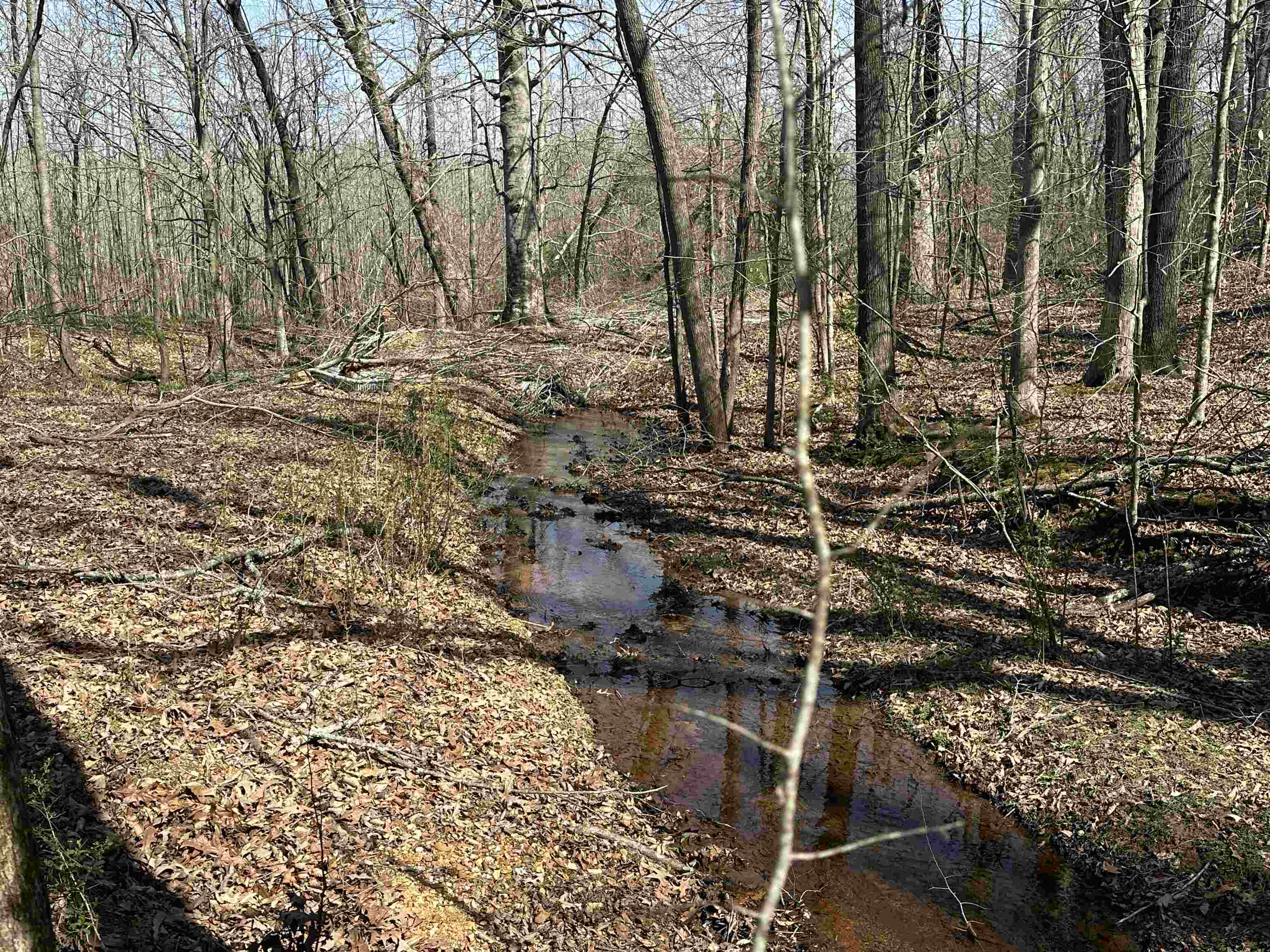 65 Cooksey Lane Michie, TN 38357 - Photo 33 of 40 a view of lake