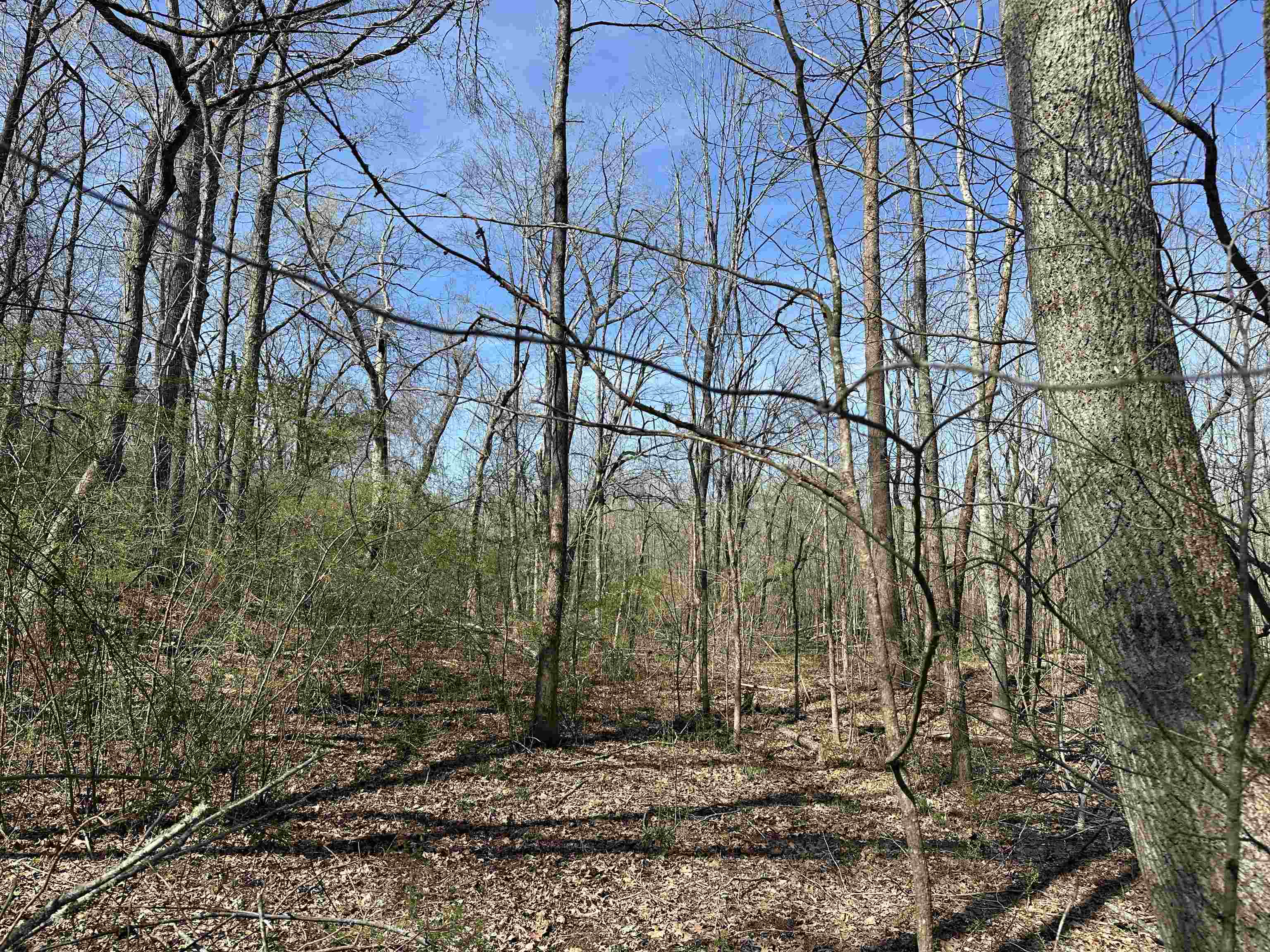 65 Cooksey Lane Michie, TN 38357 - Photo 35 of 40 a backyard of a house