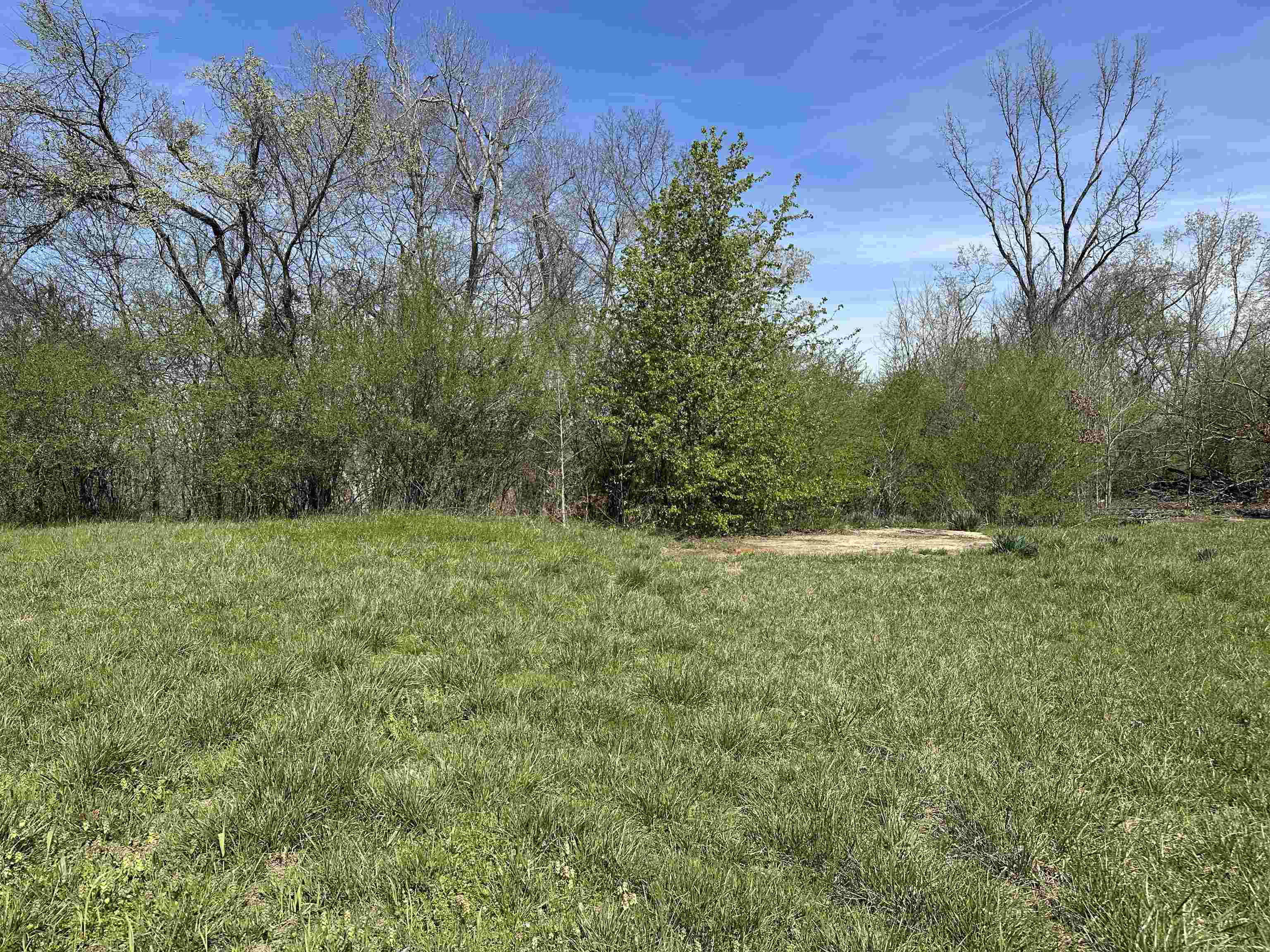 65 Cooksey Lane Michie, TN 38357 - Photo 36 of 40 a view of a outdoor space