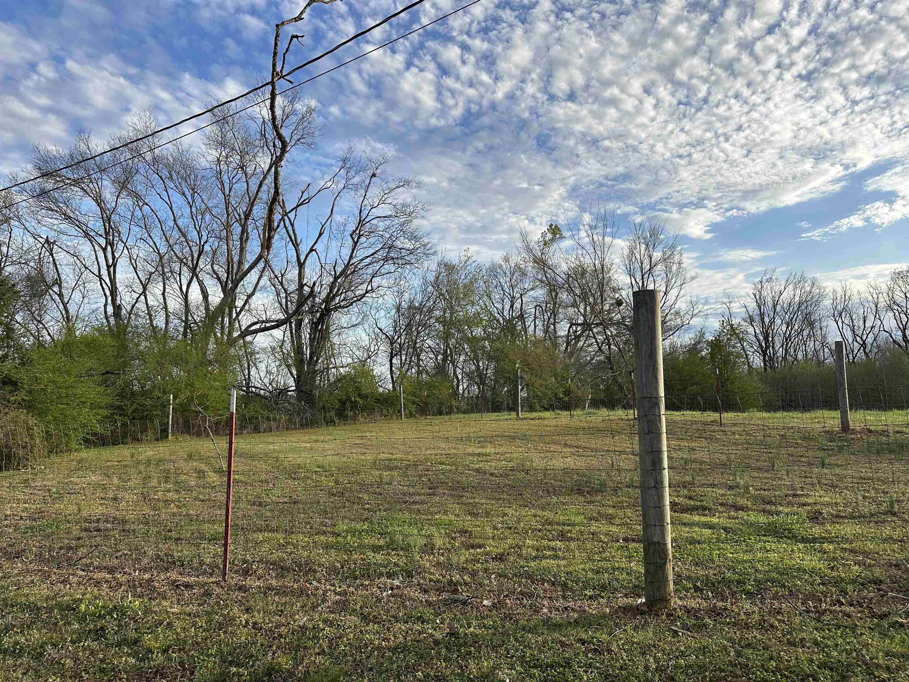 65 Cooksey Lane Michie, TN 38357 - Photo 38 of 40 a view of a field with a tree