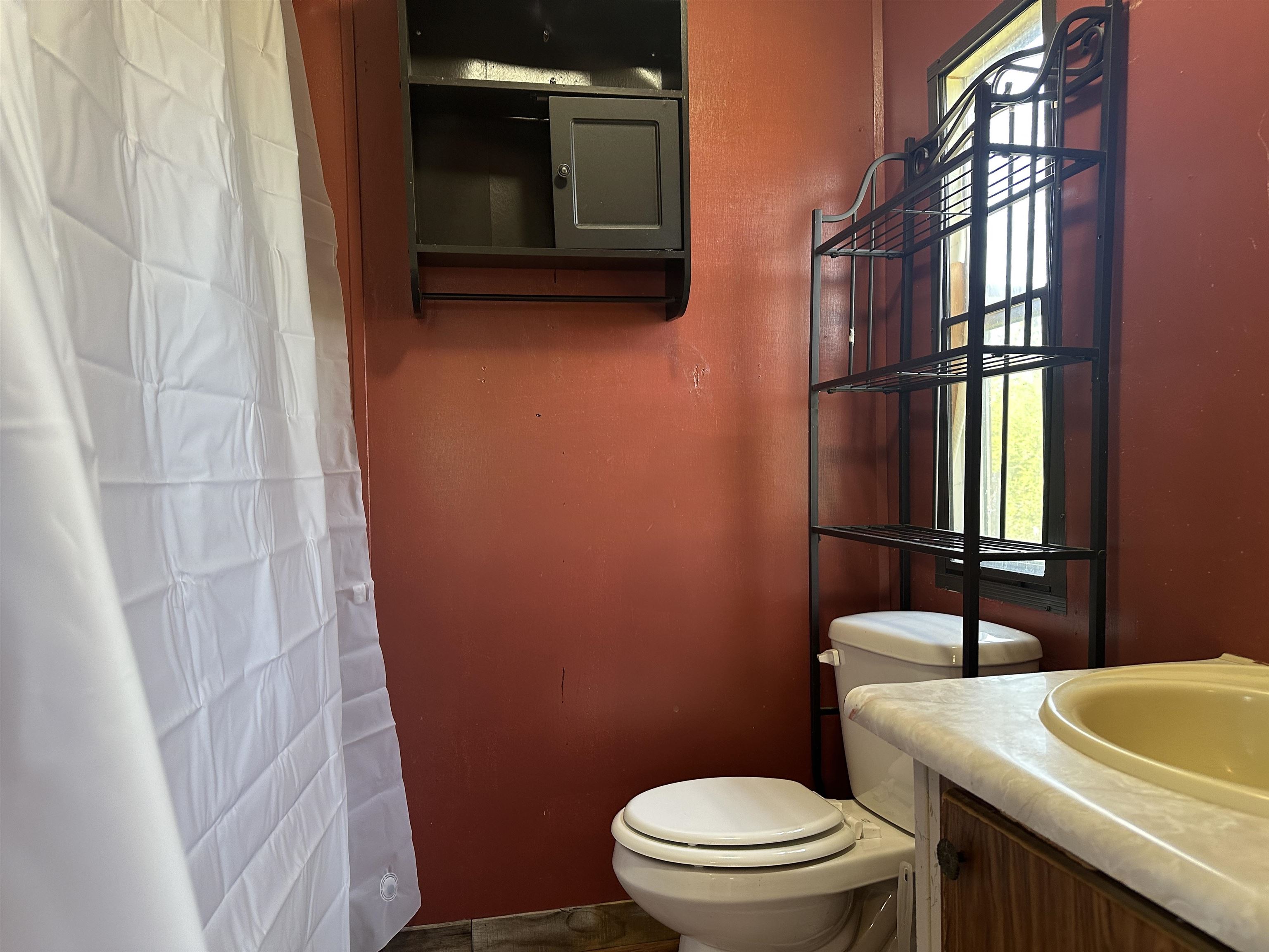 65 Cooksey Lane Michie, TN 38357 - Photo 4 of 40 a bathroom with a toilet a sink and a window
