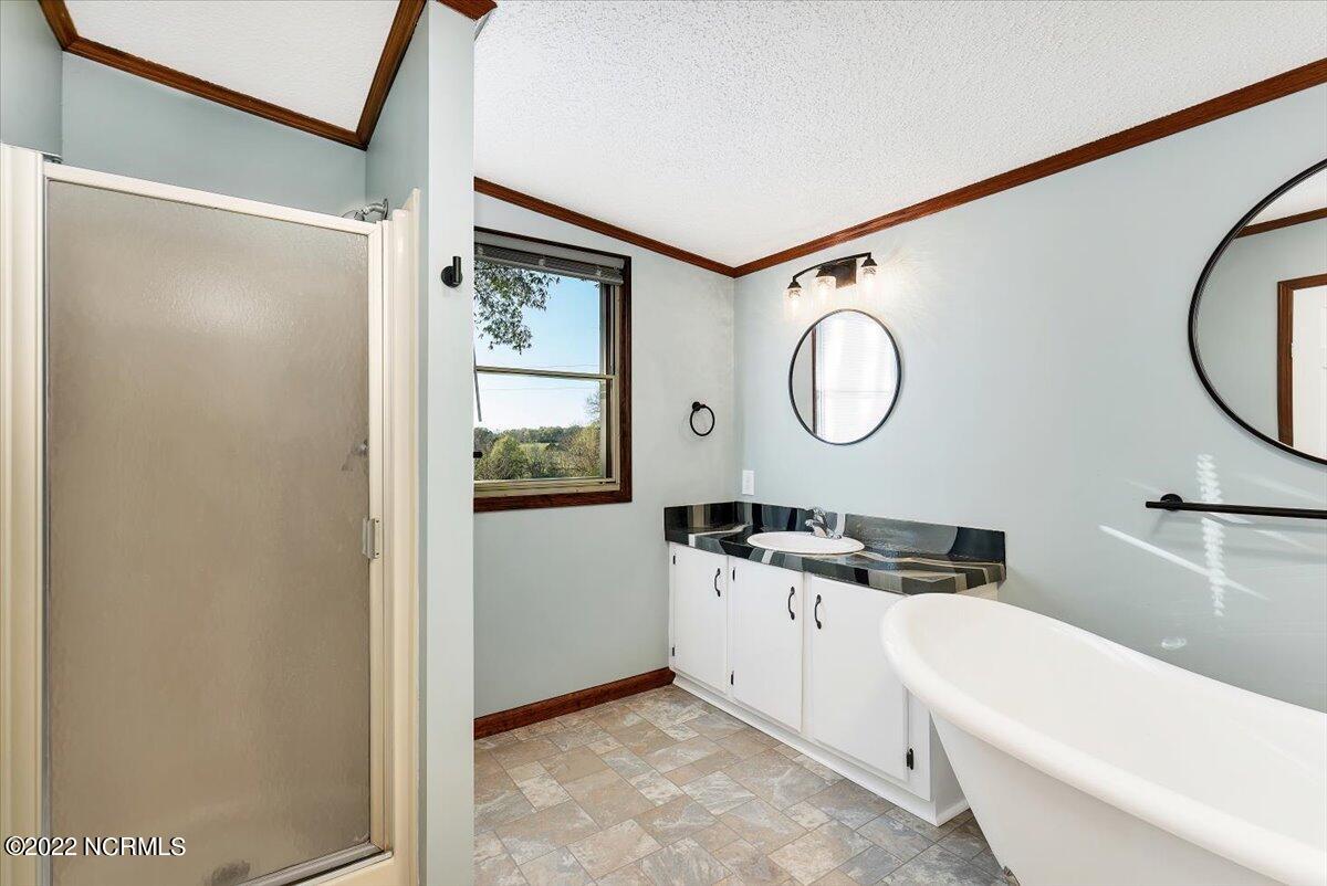 572 Purvis Farm Road Robbins, NC 27325 - Photo 37 of 62 master bath4