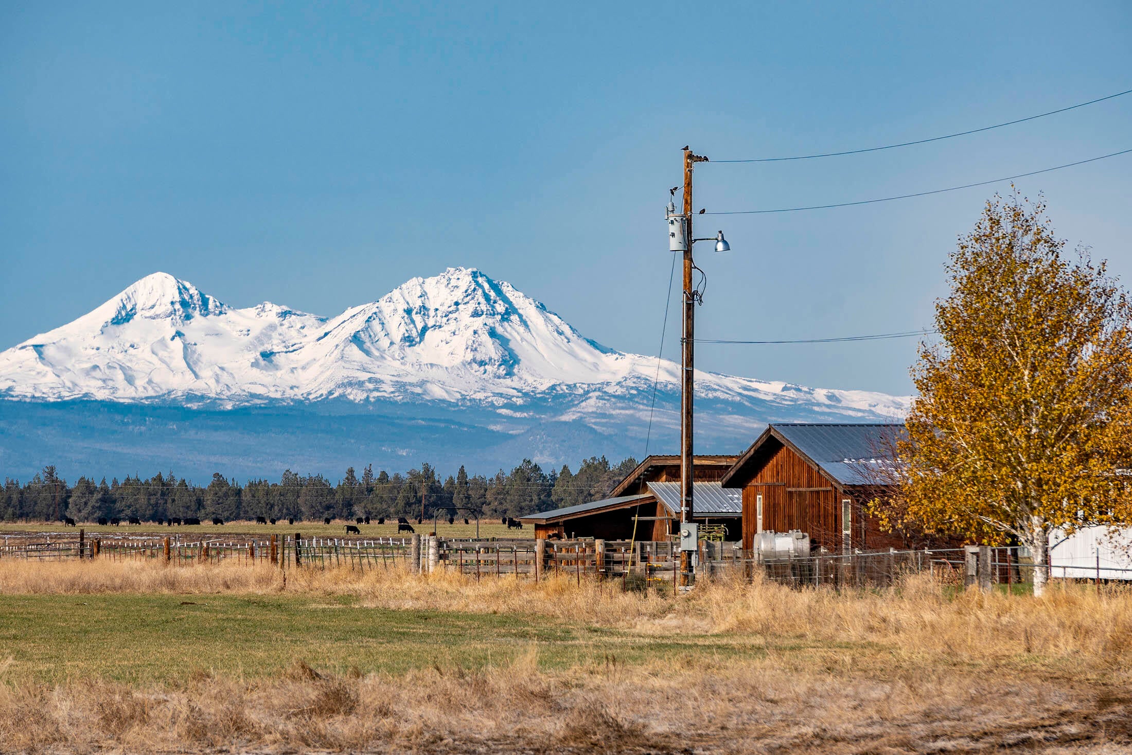 63025 Schmidt Road Bend, OR 97701 - Photo 41 of 65 63025 Schmidt Rd i_0282 copy