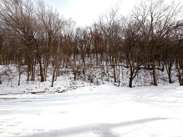 $429,900 | 3731 Cliffside Drive, Shelby, WI 54601